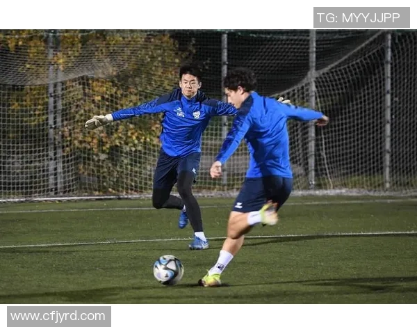 足球明星留洋踢球的背后故事与影响力分析